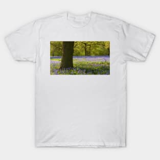 Bluebell Wood, Essex T-Shirt